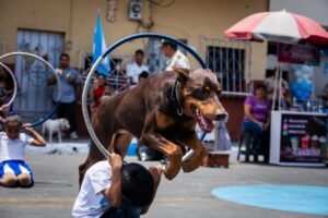Feria Barrial eleva el fervor cívico en el suroeste de Guayaquil