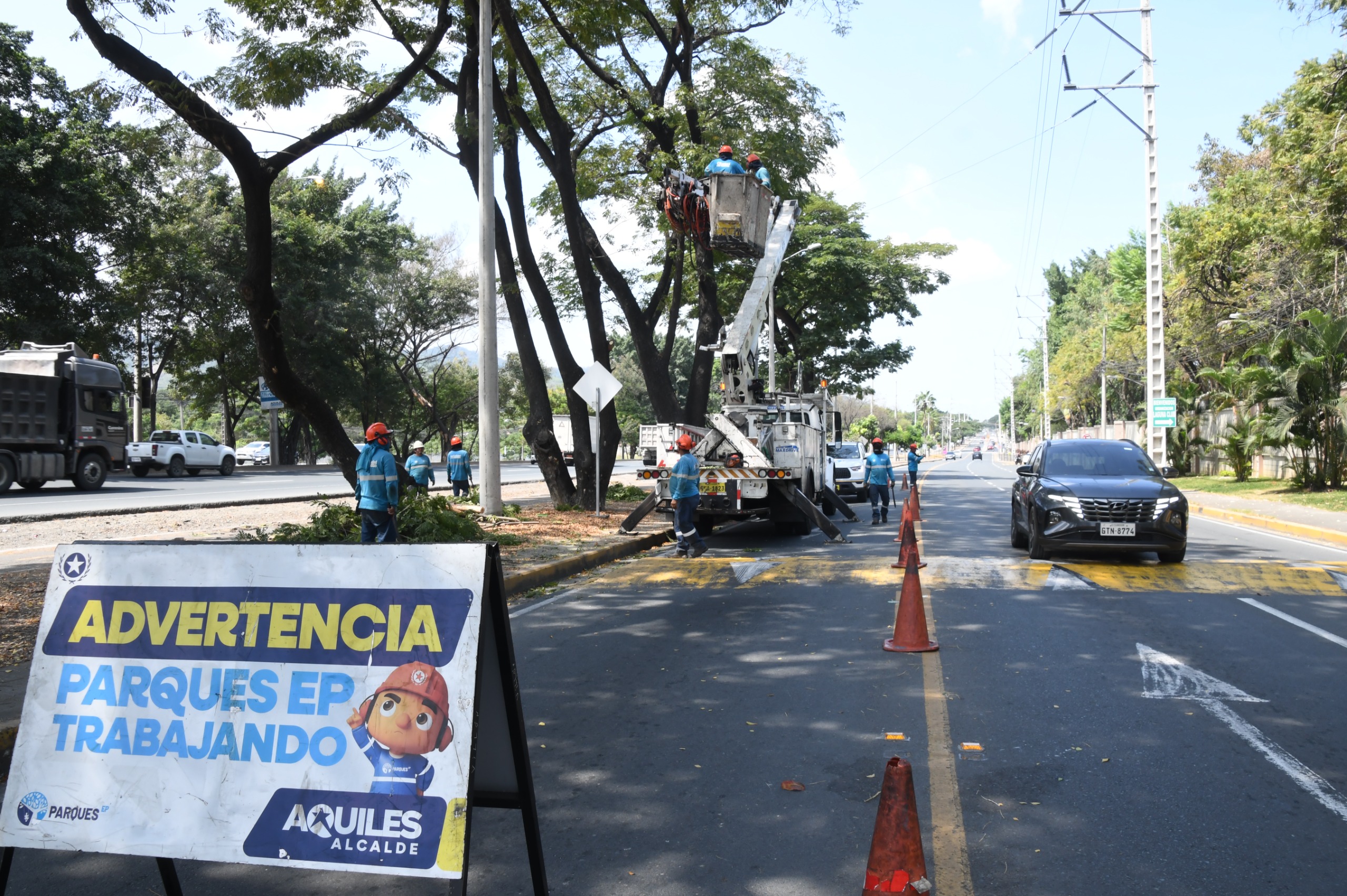 Trabajos de poda y despeje de luminarias fortalecen la seguridad en la Vía a la Costa