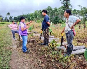 Ecuador fortalece la cadena de balsa para proteger su acceso  a mercados internacionales