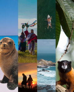 La gestión del Gobierno del Presidente Daniel Noboa impulsa el turismo en Ecuador: crecen los visitantes y las ventas en 2026