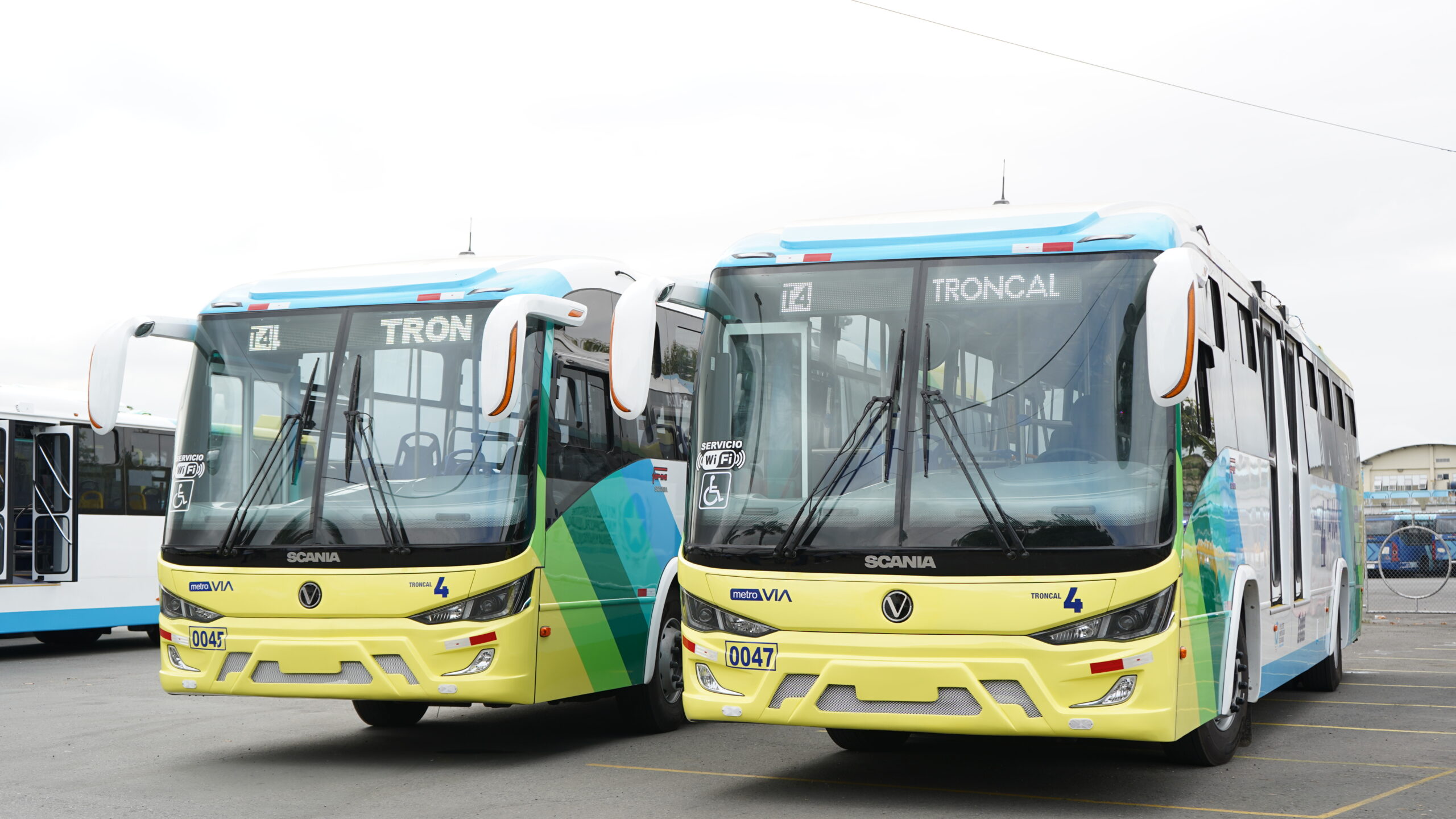 Troncal 4 incorpora 19 nuevos buses para fortalecer el servicio y ampliar su cobertura en Guayaquil