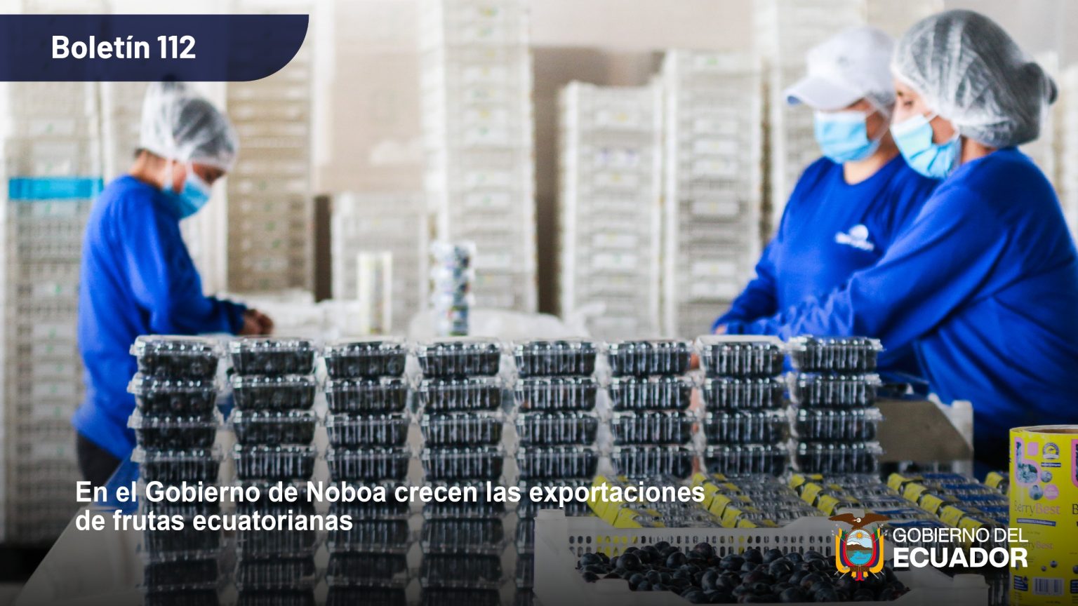 En el Gobierno de Daniel Noboa crecen las exportaciones de frutas ecuatorianas
